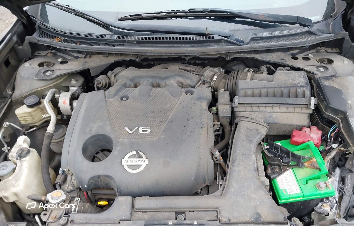 Nissan Maxima 2010