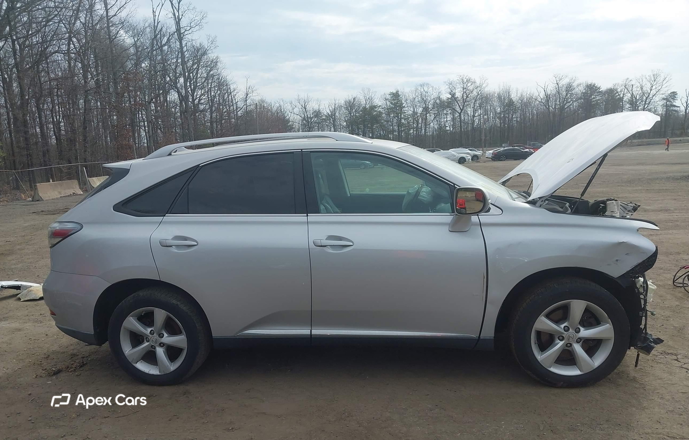 Lexus RX 2010