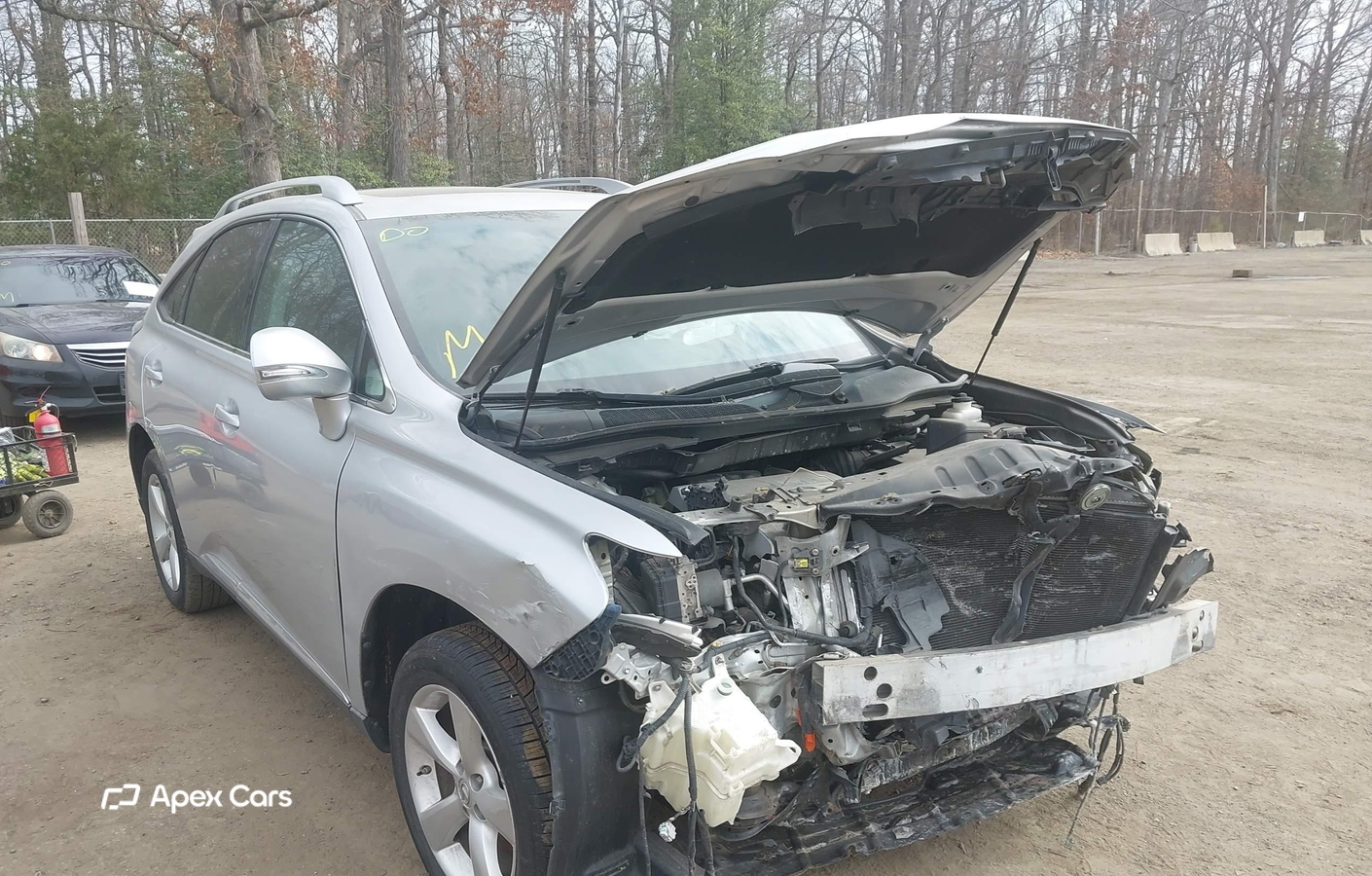 Lexus RX 2010