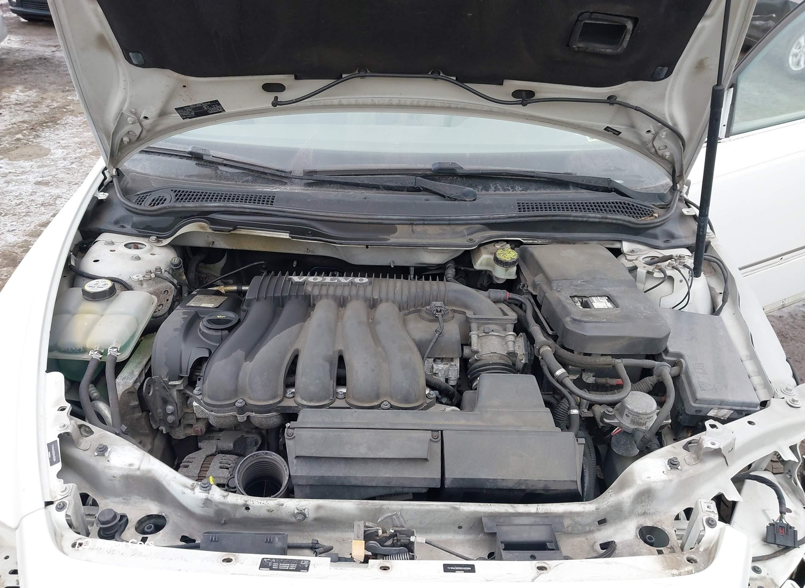 Volvo V50 2009