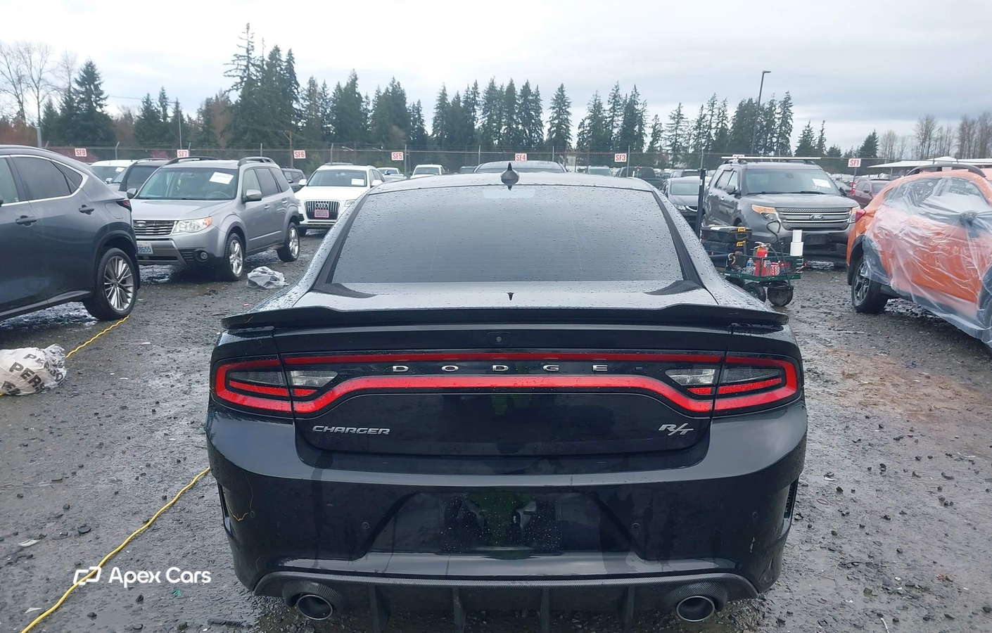 Dodge Charger 2019