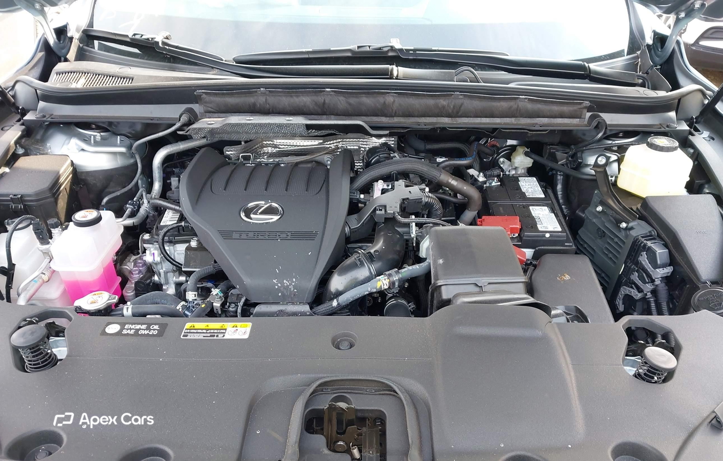 Lexus RX 2025