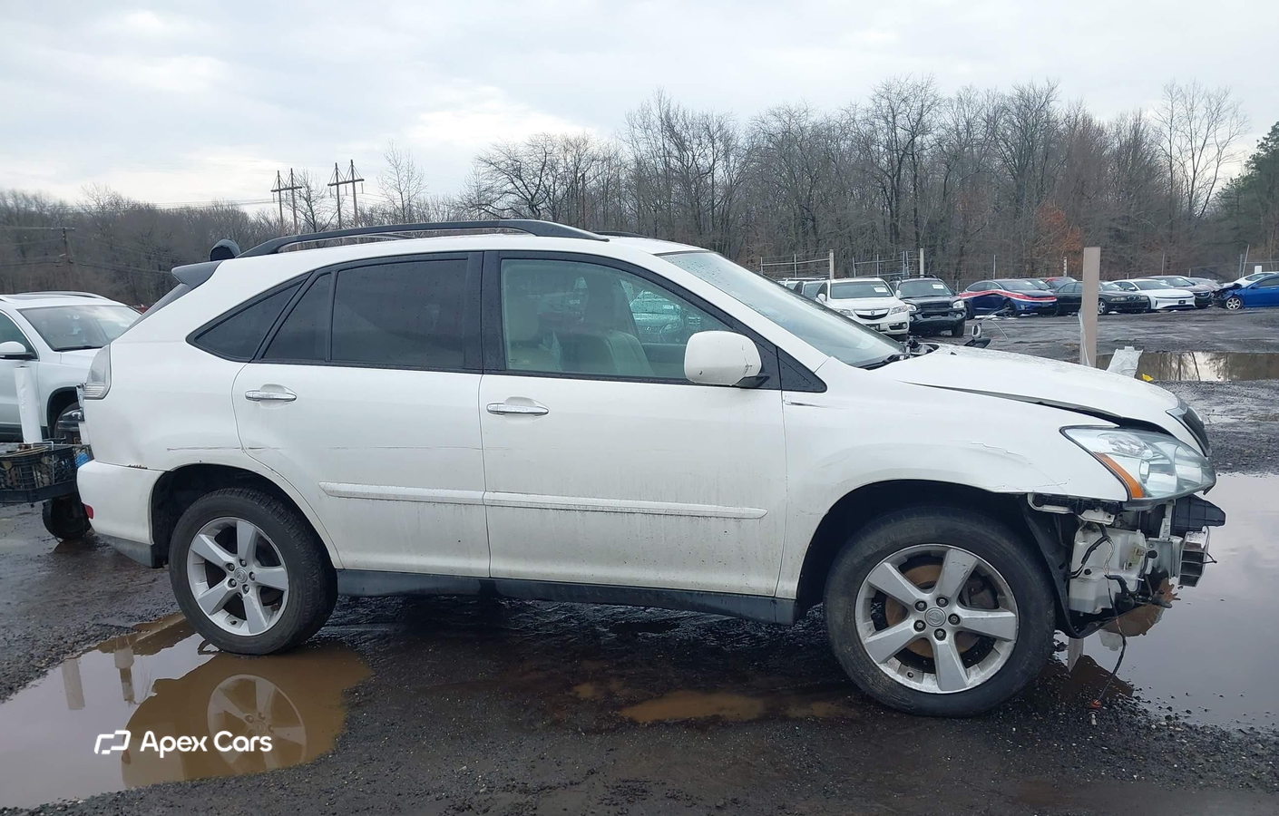 Lexus RX 2008