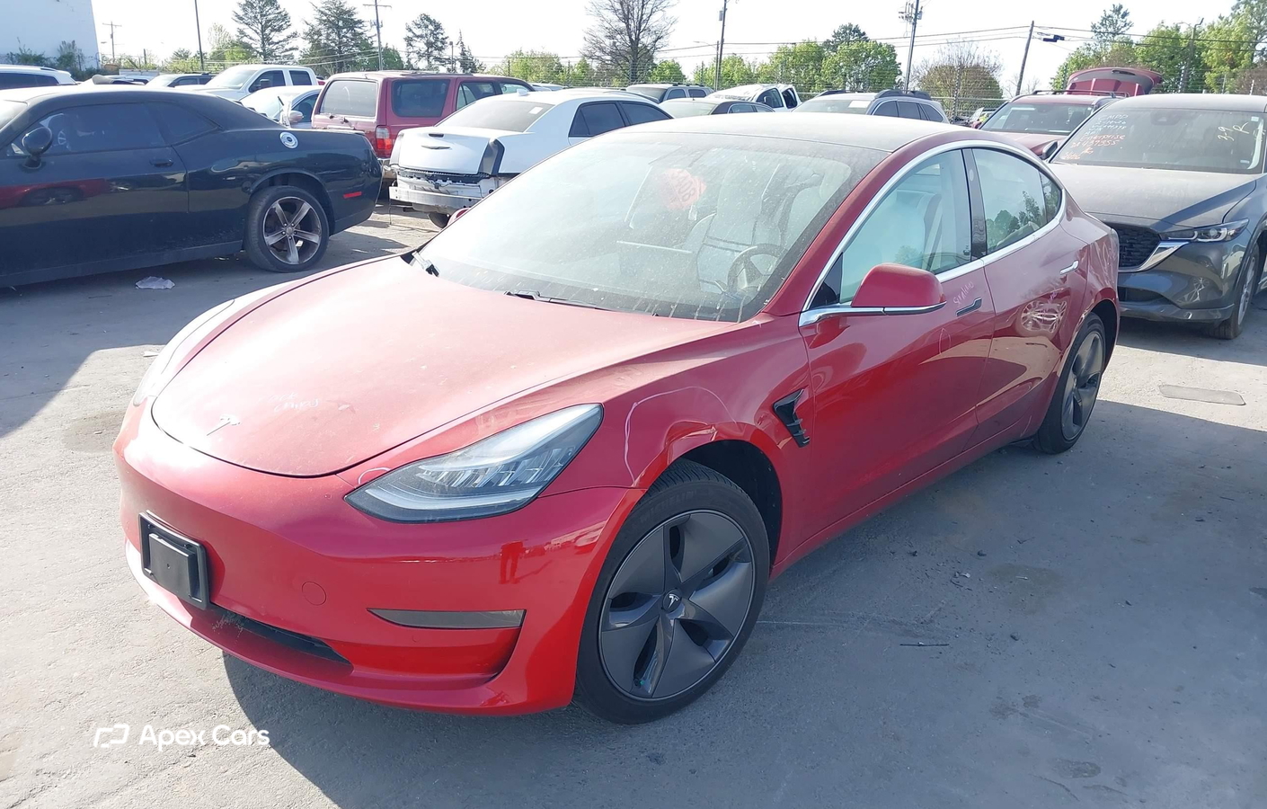 Tesla Model 3 2019
