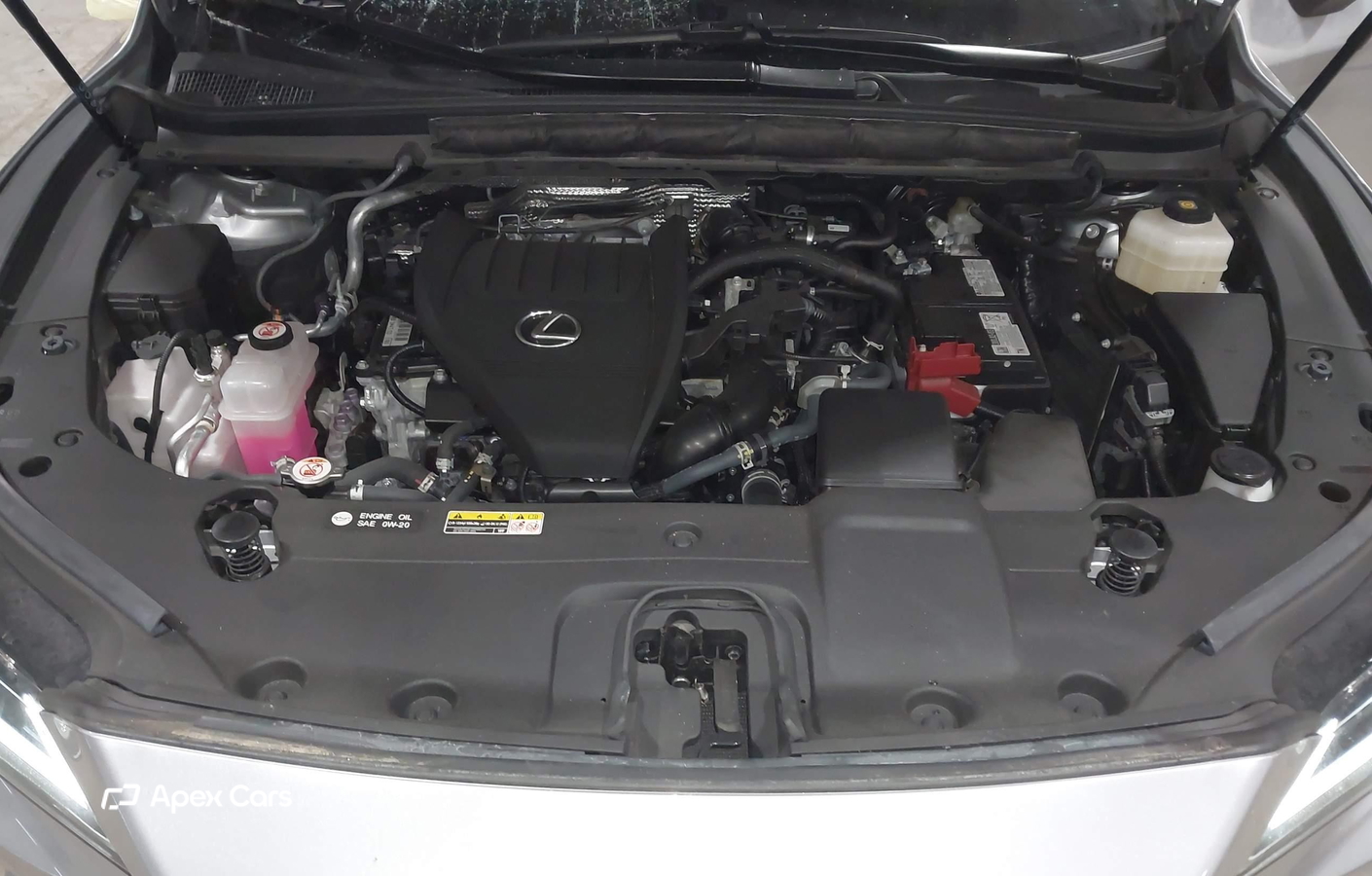 Lexus RX 2024