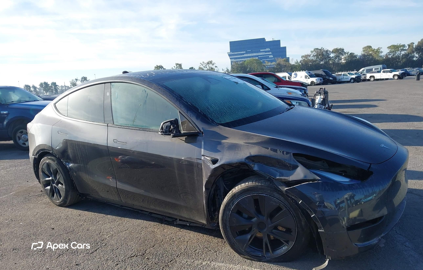 Tesla Model Y 2024