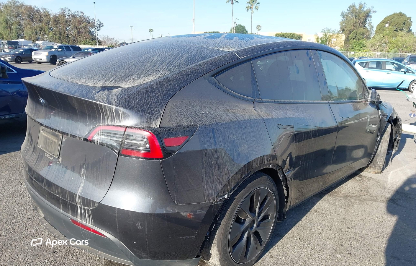 Tesla Model Y 2024