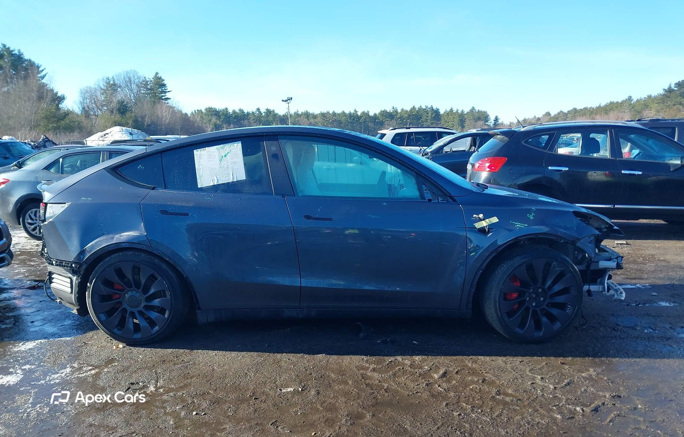 Tesla Model Y 2021