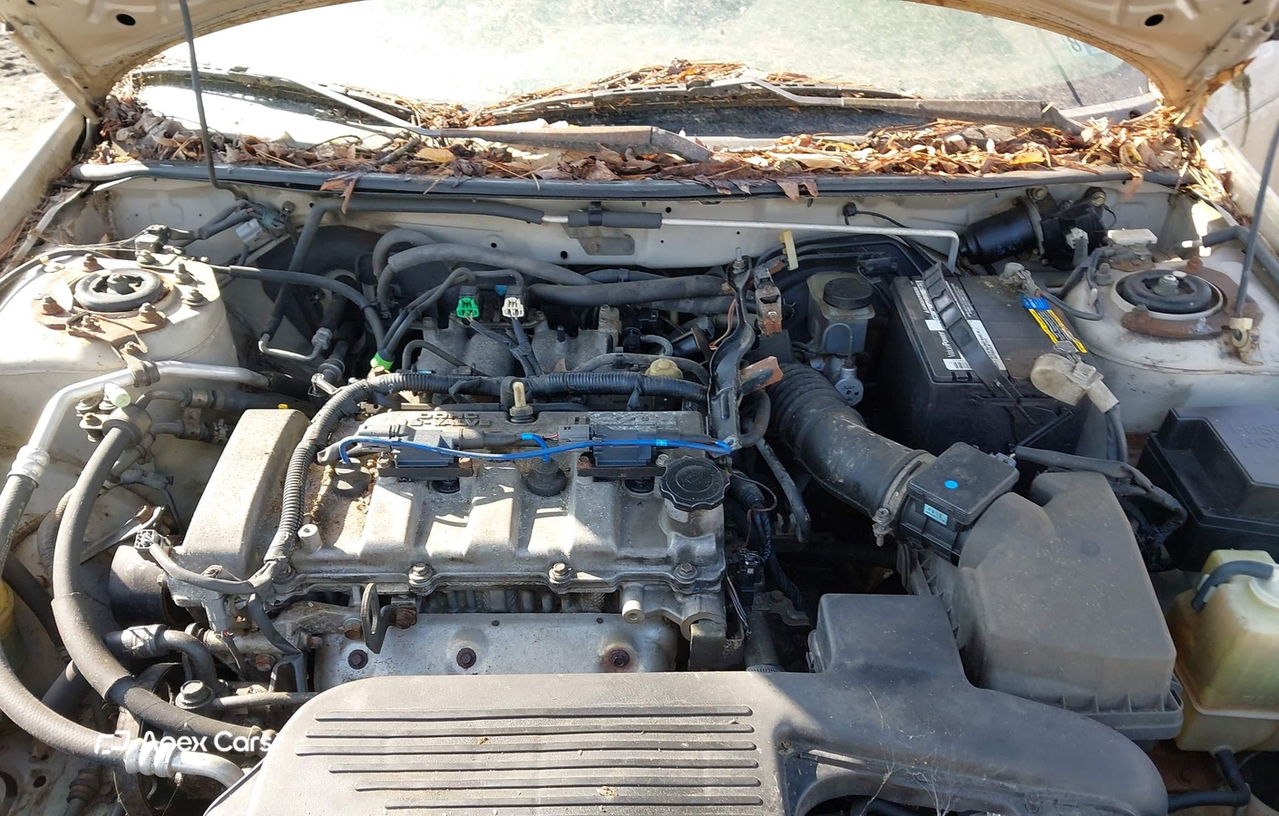 Mazda Protege 2002