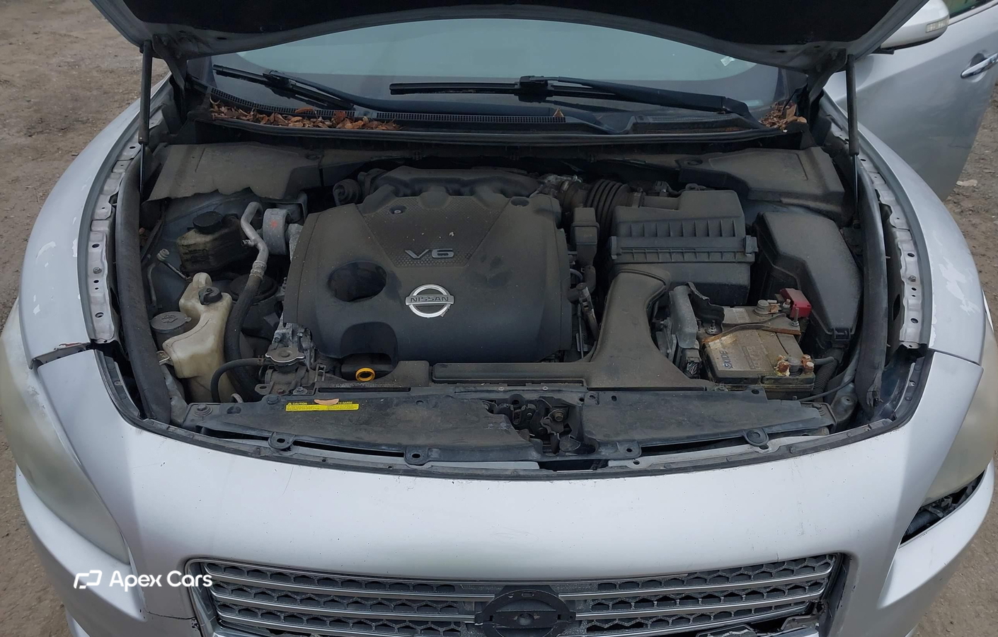 Nissan Maxima 2011