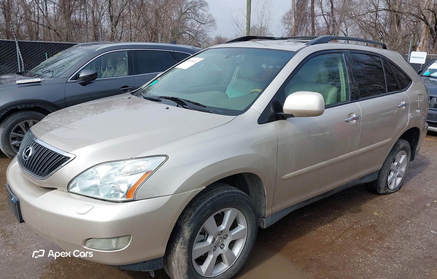 Lexus RX 2008