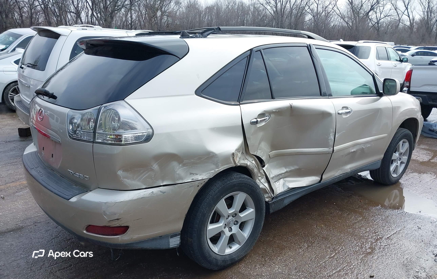 Lexus RX 2008