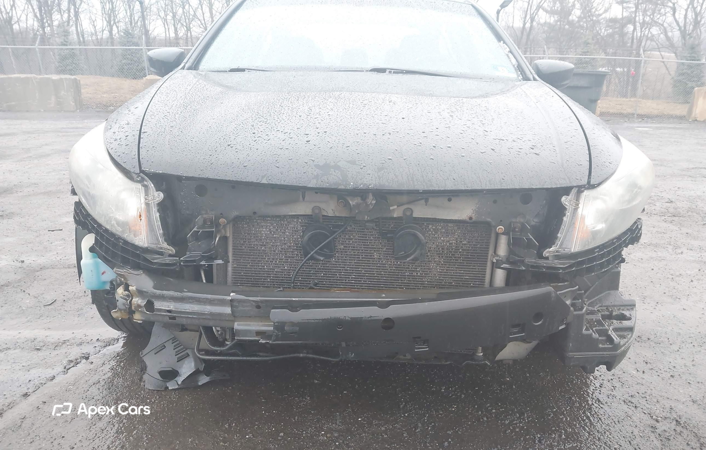 Honda Accord 2011