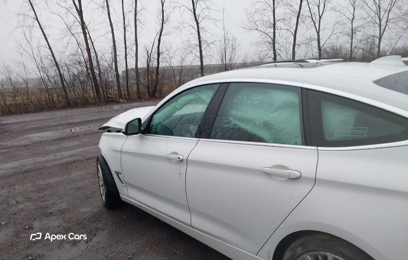 BMW Series 3 2014