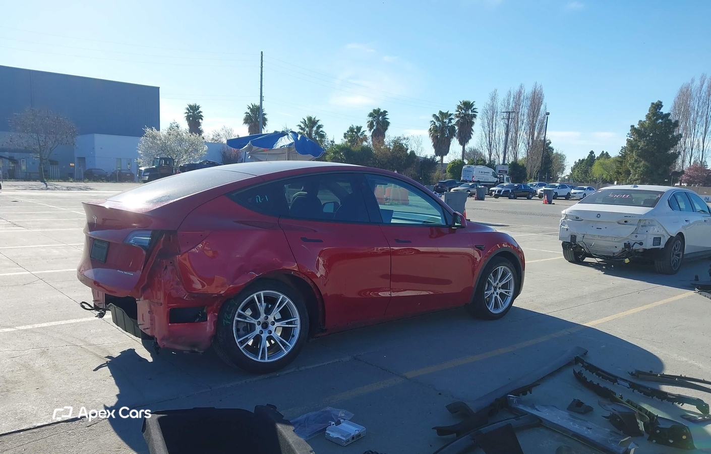 Tesla Model Y 2021