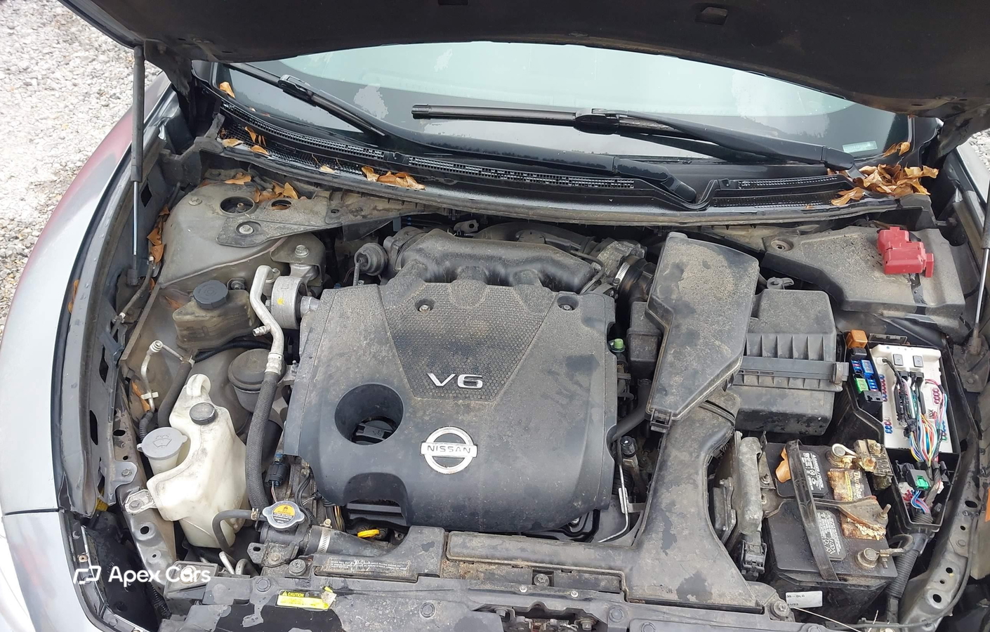 Nissan Maxima 2014