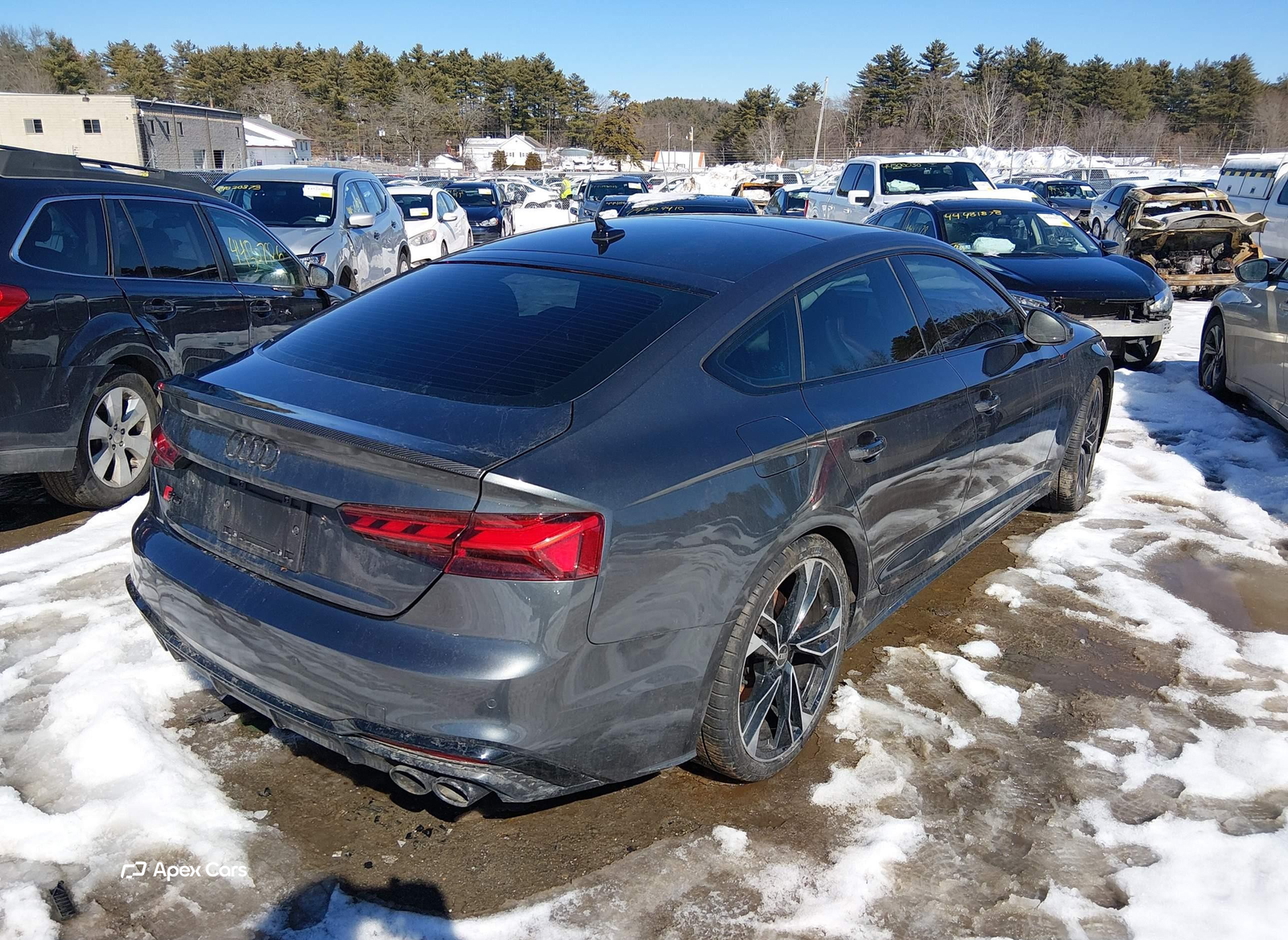 Audi S5 2024