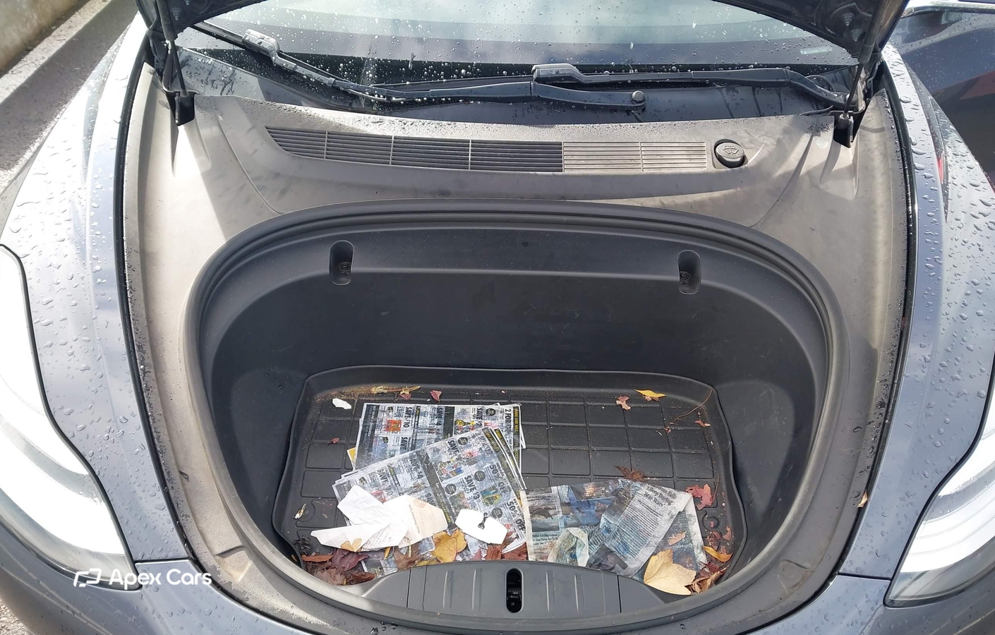 Tesla Model 3 2020