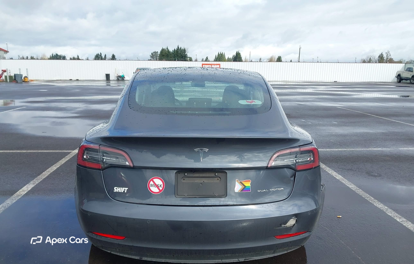 Tesla Model 3 2020
