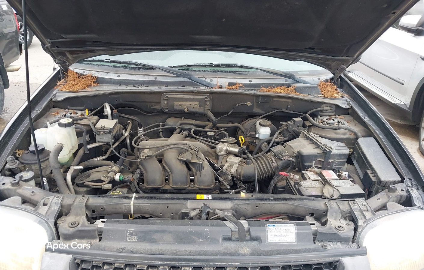 Ford Escape 2001