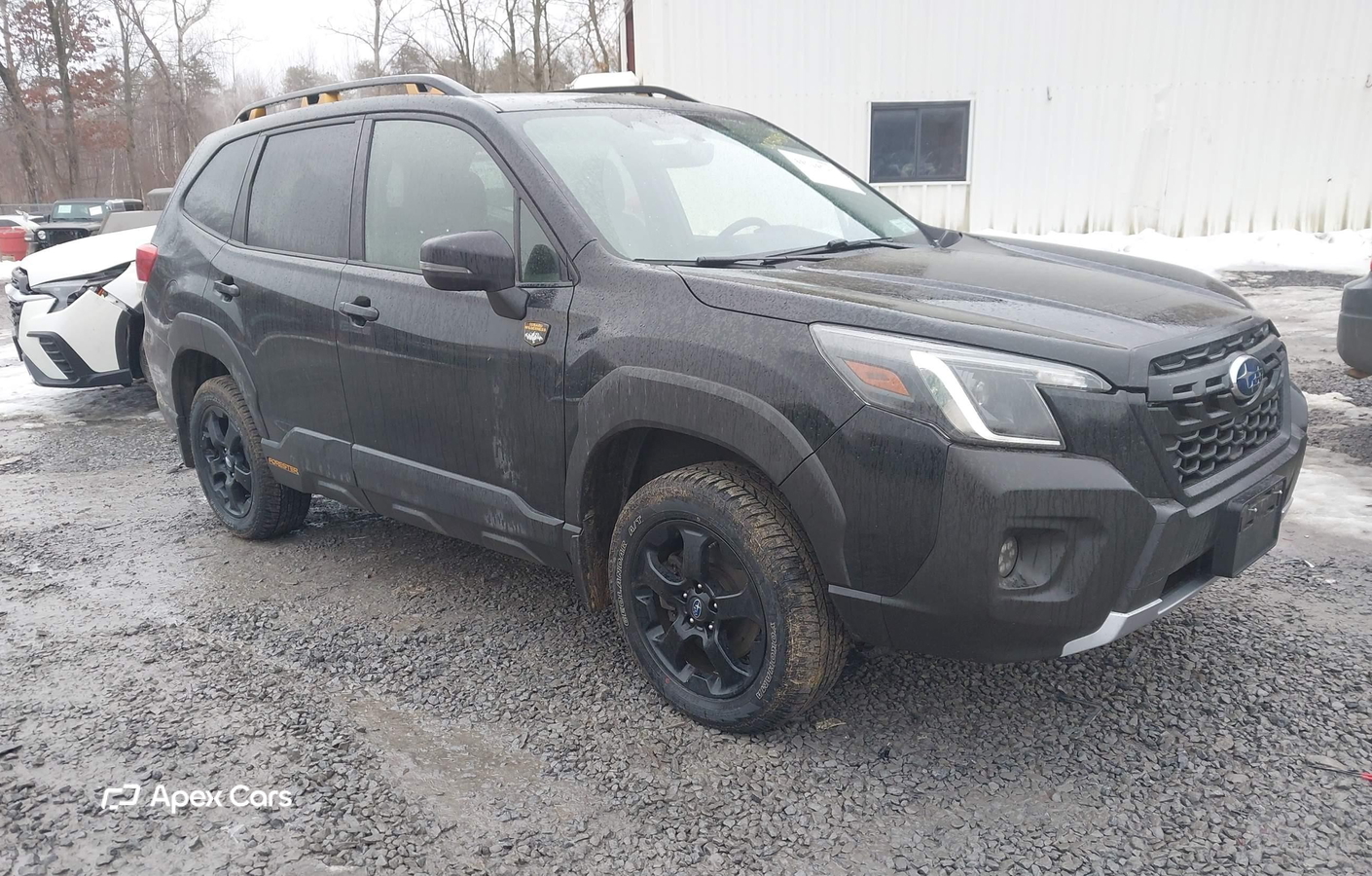 Subaru Forester 2024