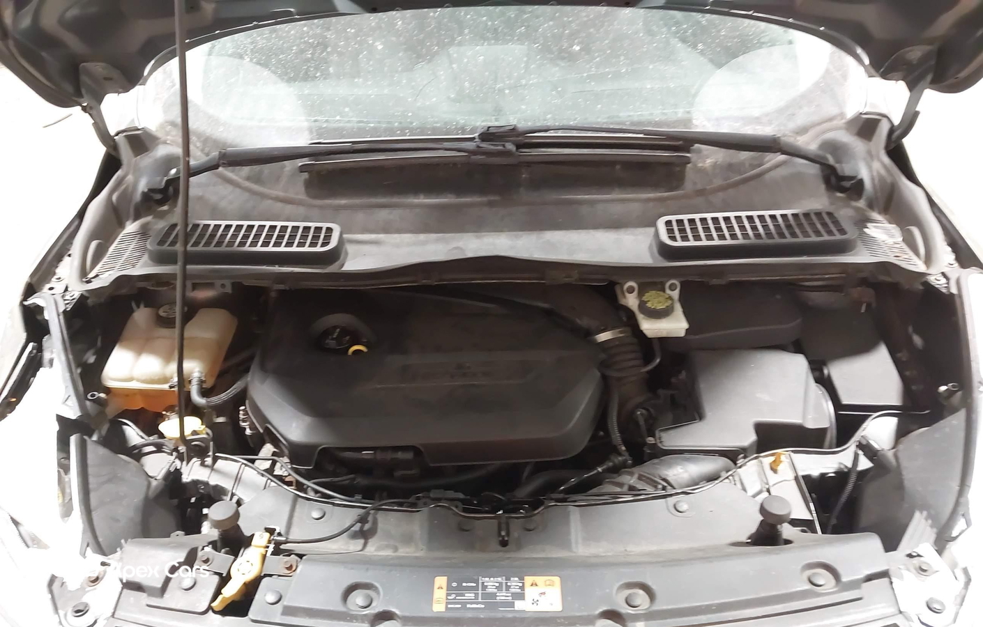 Ford Escape 2014