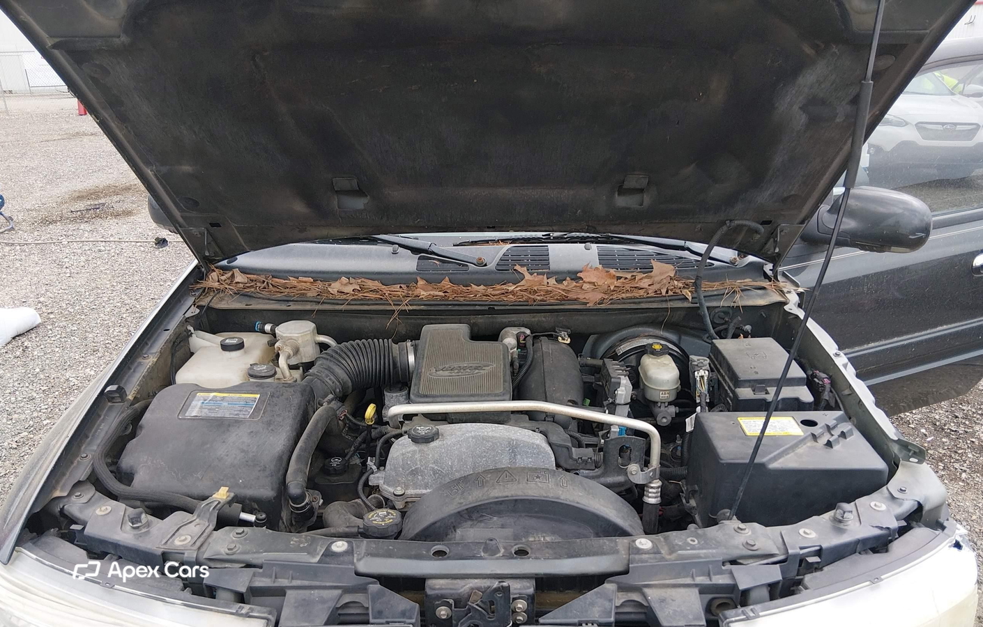 Buick Rainer 2006
