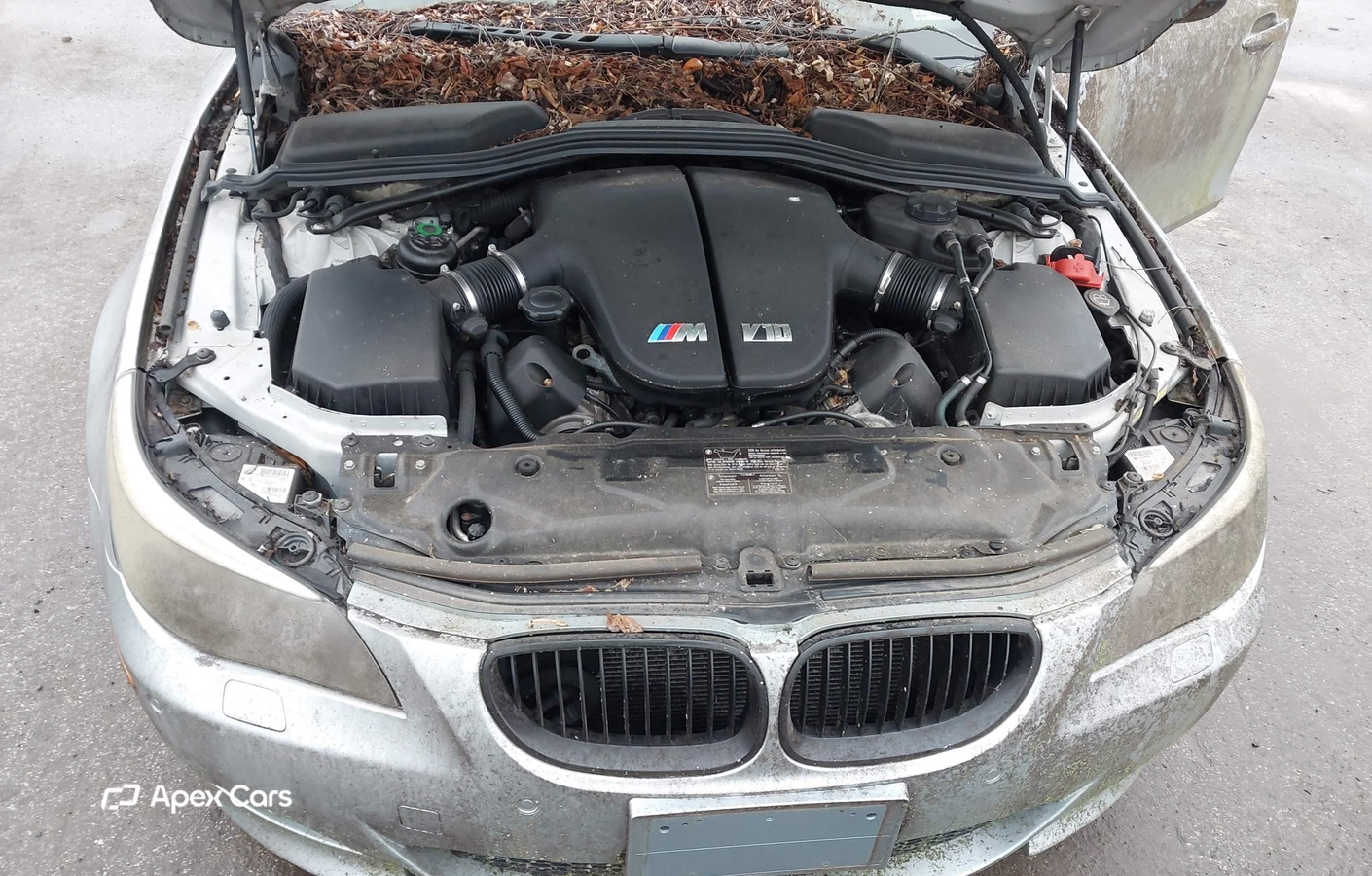 BMW M5 2008