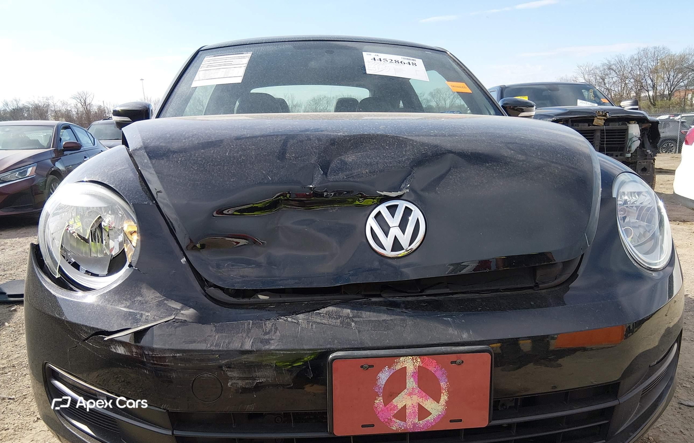 Volkswagen Beetle 2013