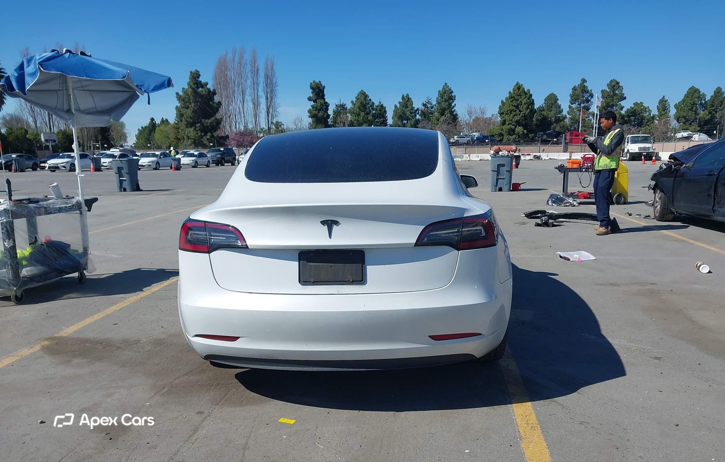 Tesla Model 3 2023