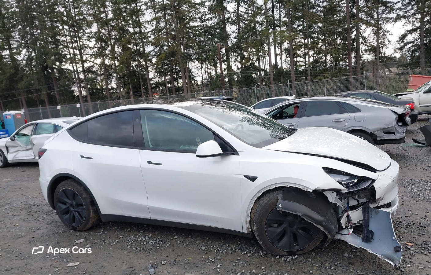 Tesla Model Y 2024