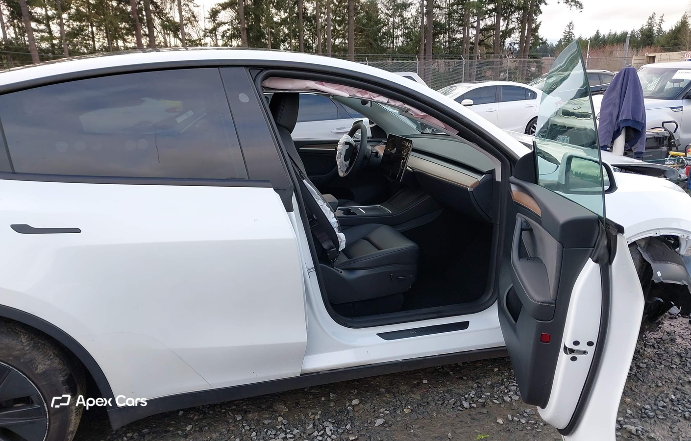 Tesla Model Y 2024