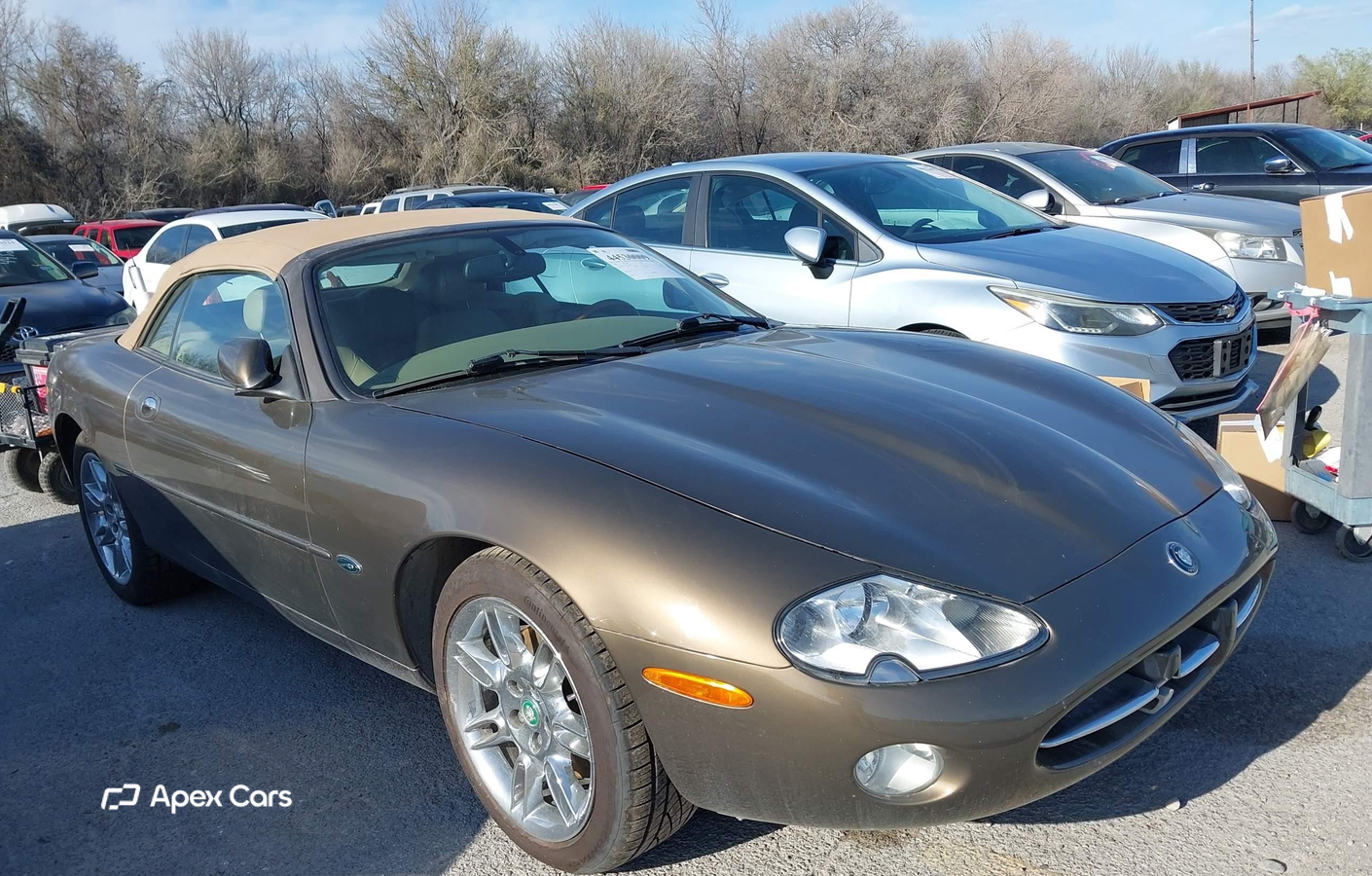 Jaguar XK 2001