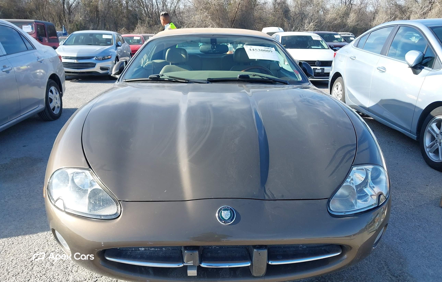 Jaguar XK 2001
