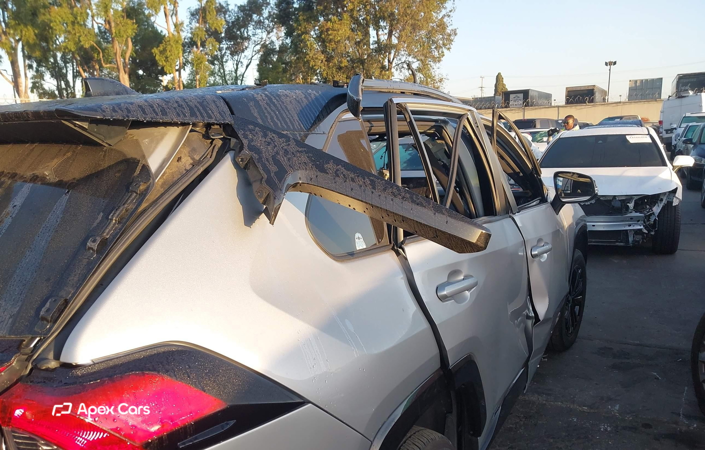 Toyota RAV 4 2024