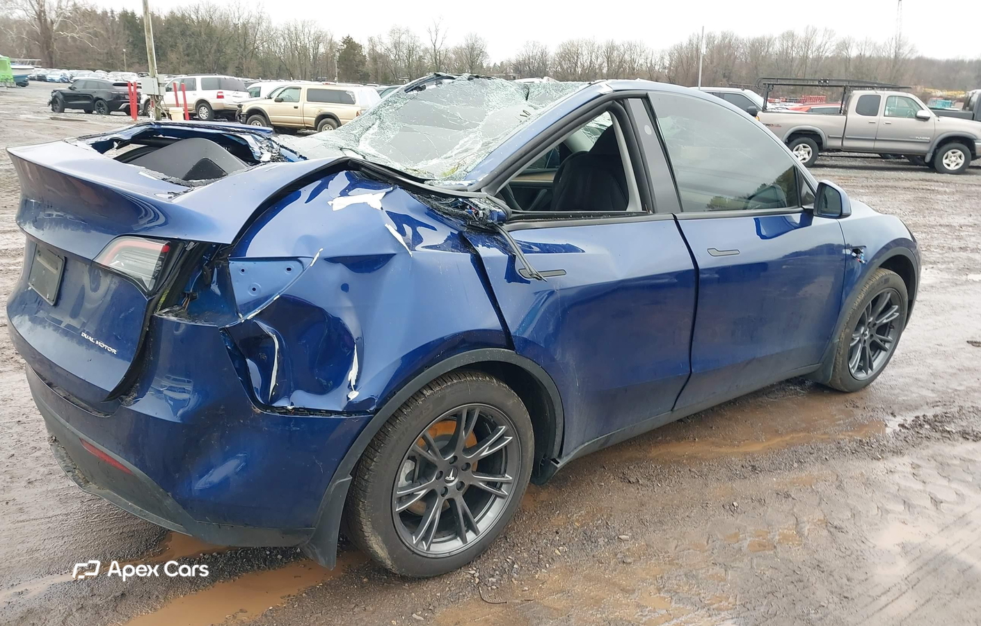 Tesla Model Y 2024