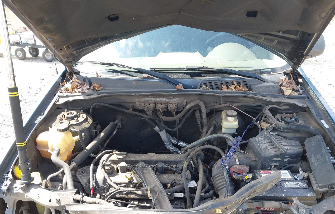 Ford Escape 2009