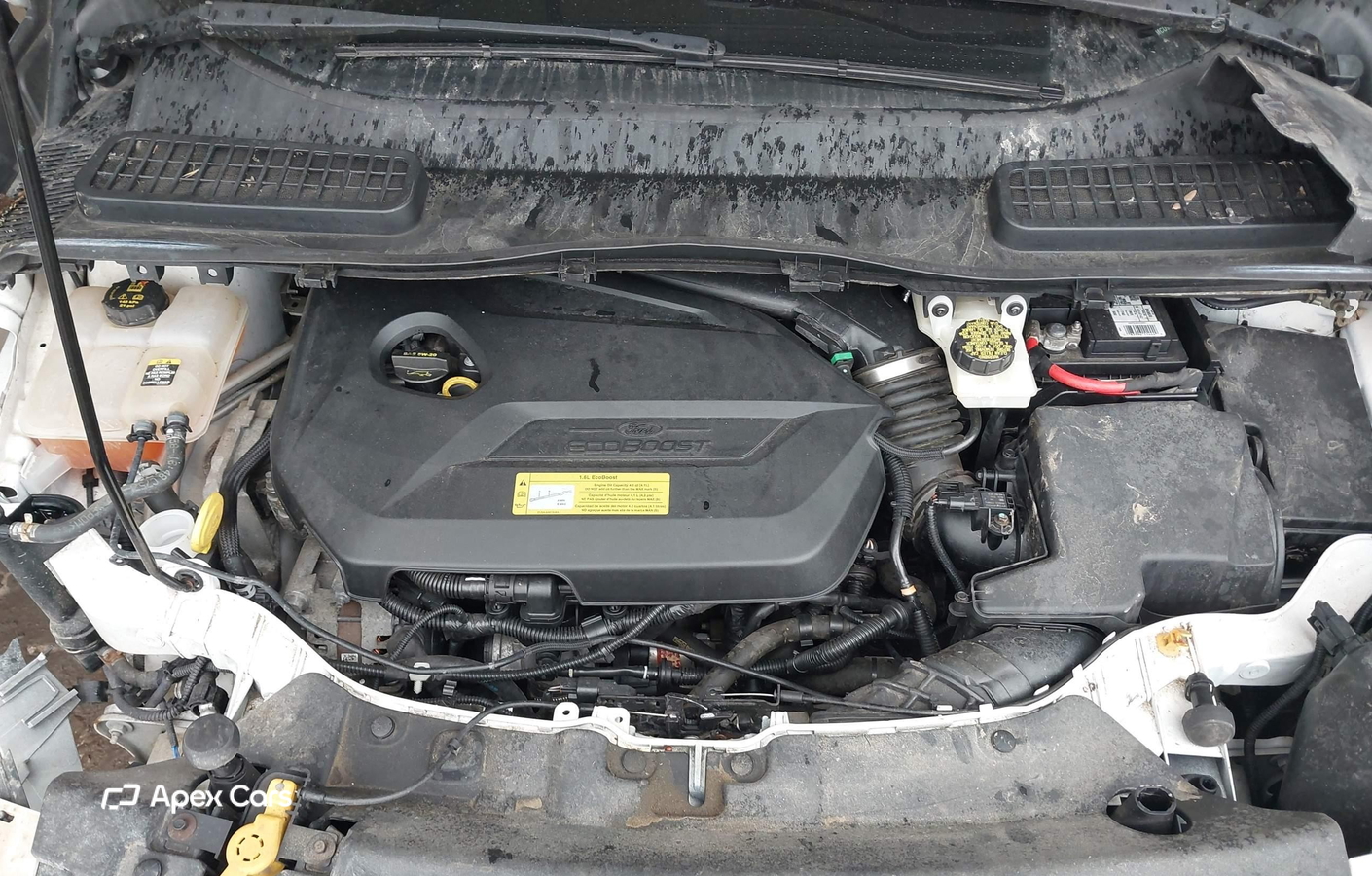 Ford Escape 2013