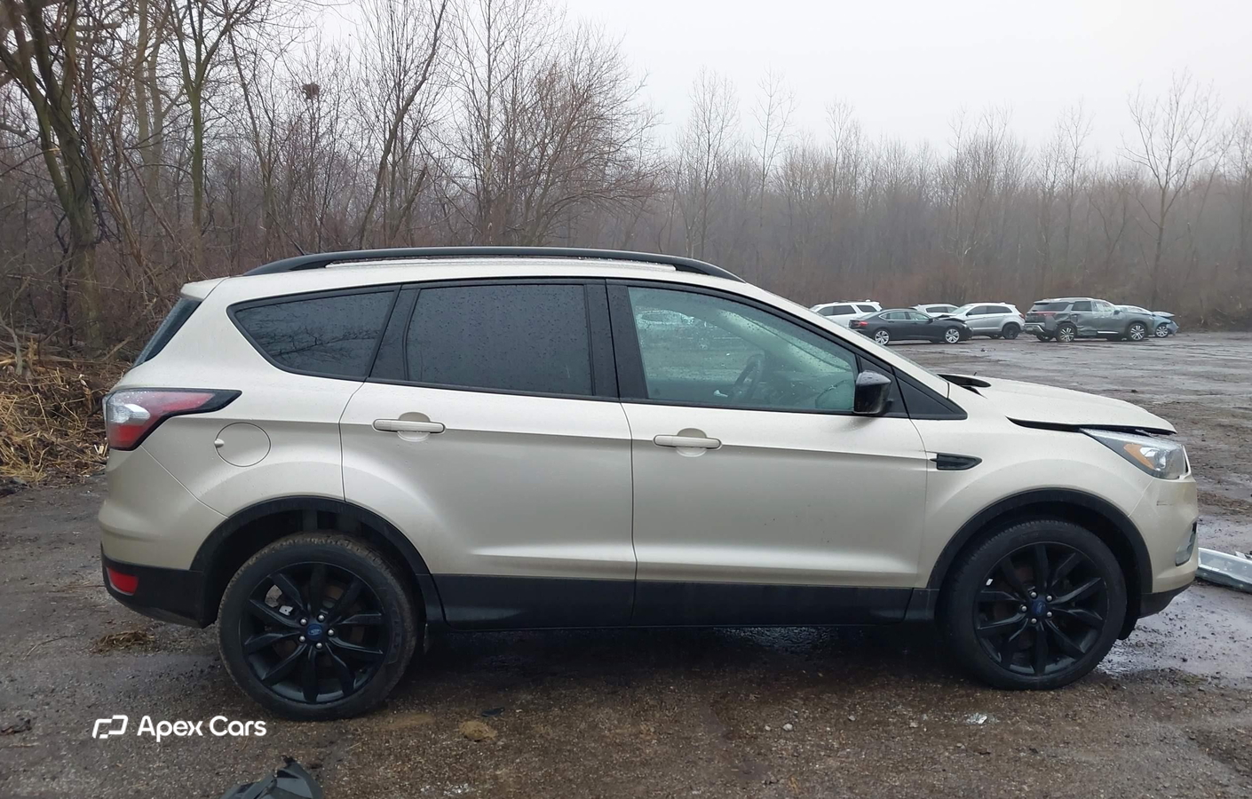 Ford Escape 2018