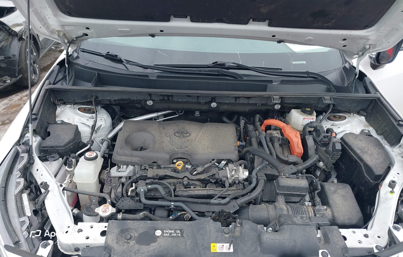 Toyota RAV 4 2024