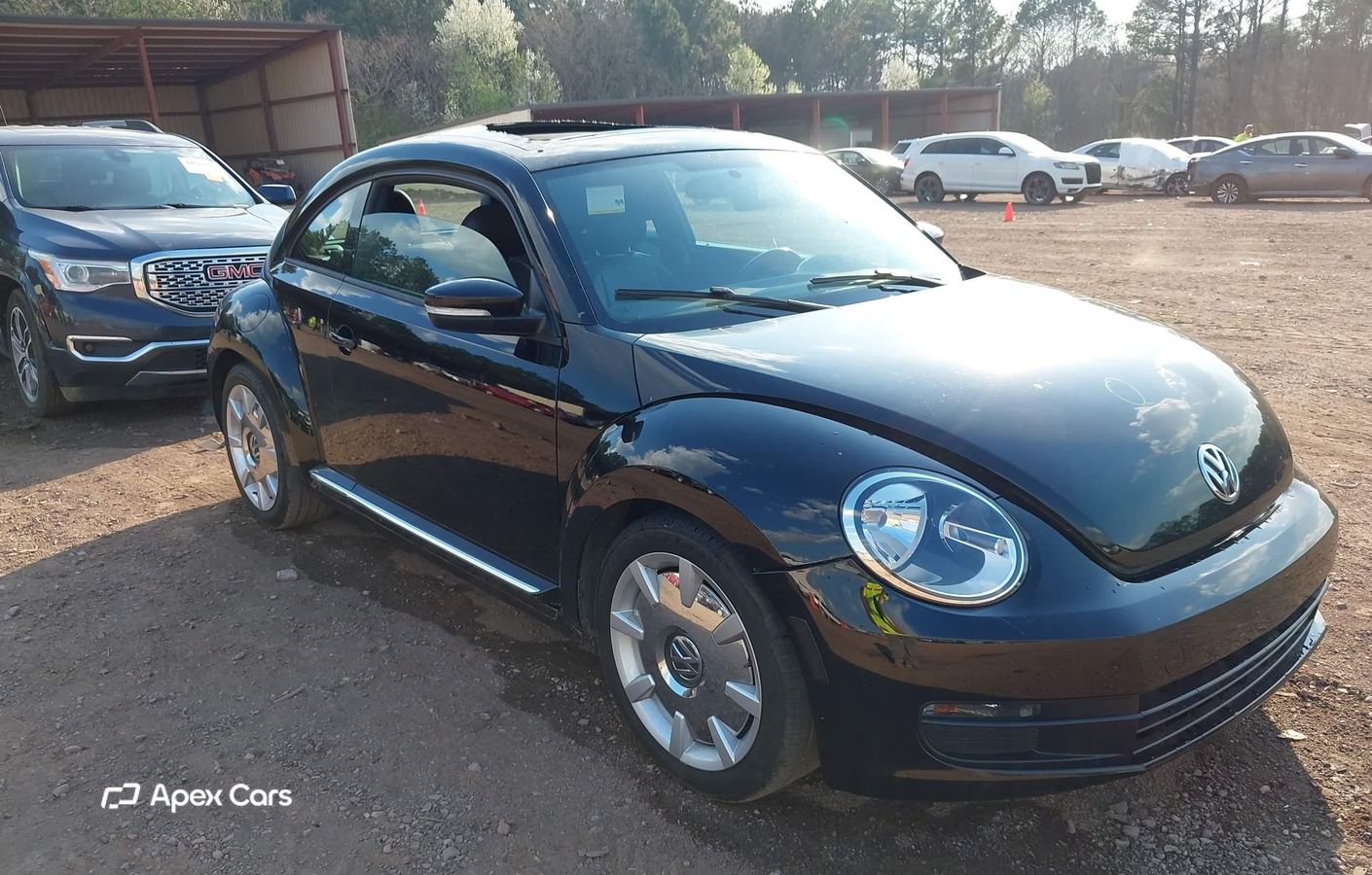 Volkswagen Beetle 2012