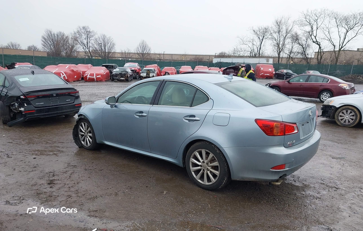 Lexus IS 2009