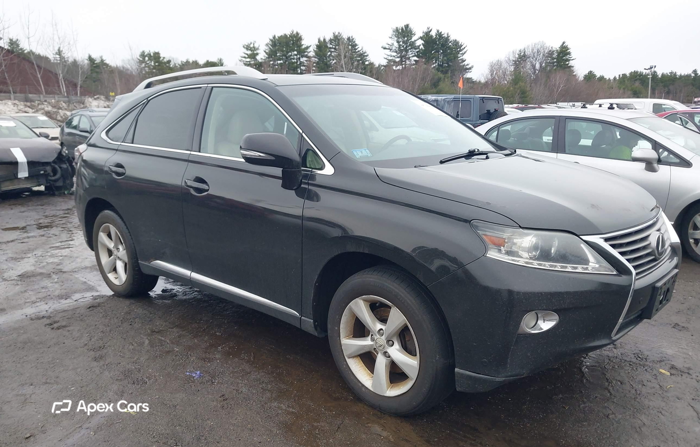 Lexus RX 2013