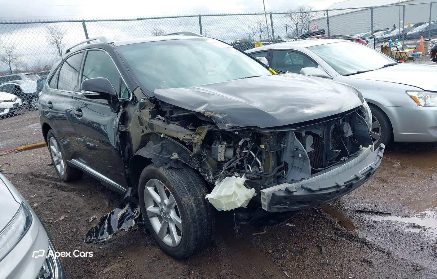 Lexus RX 2010