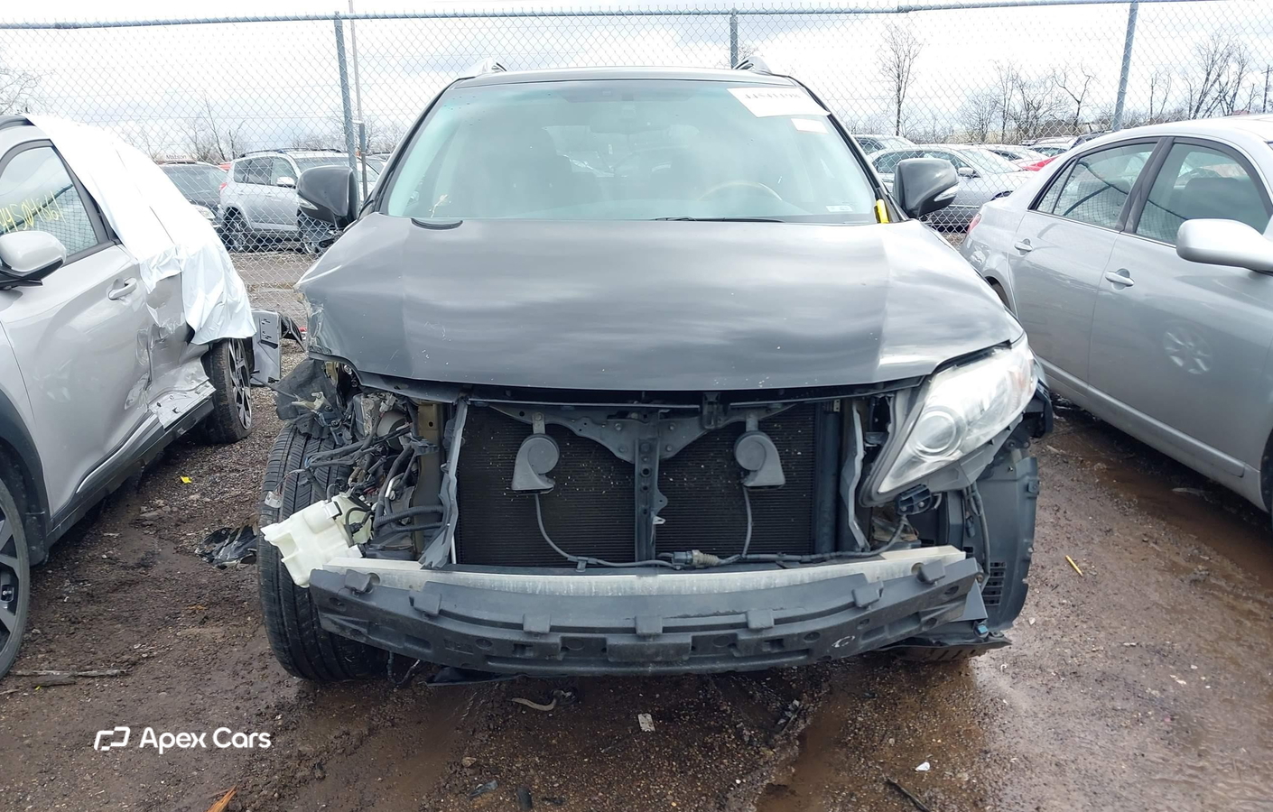 Lexus RX 2010