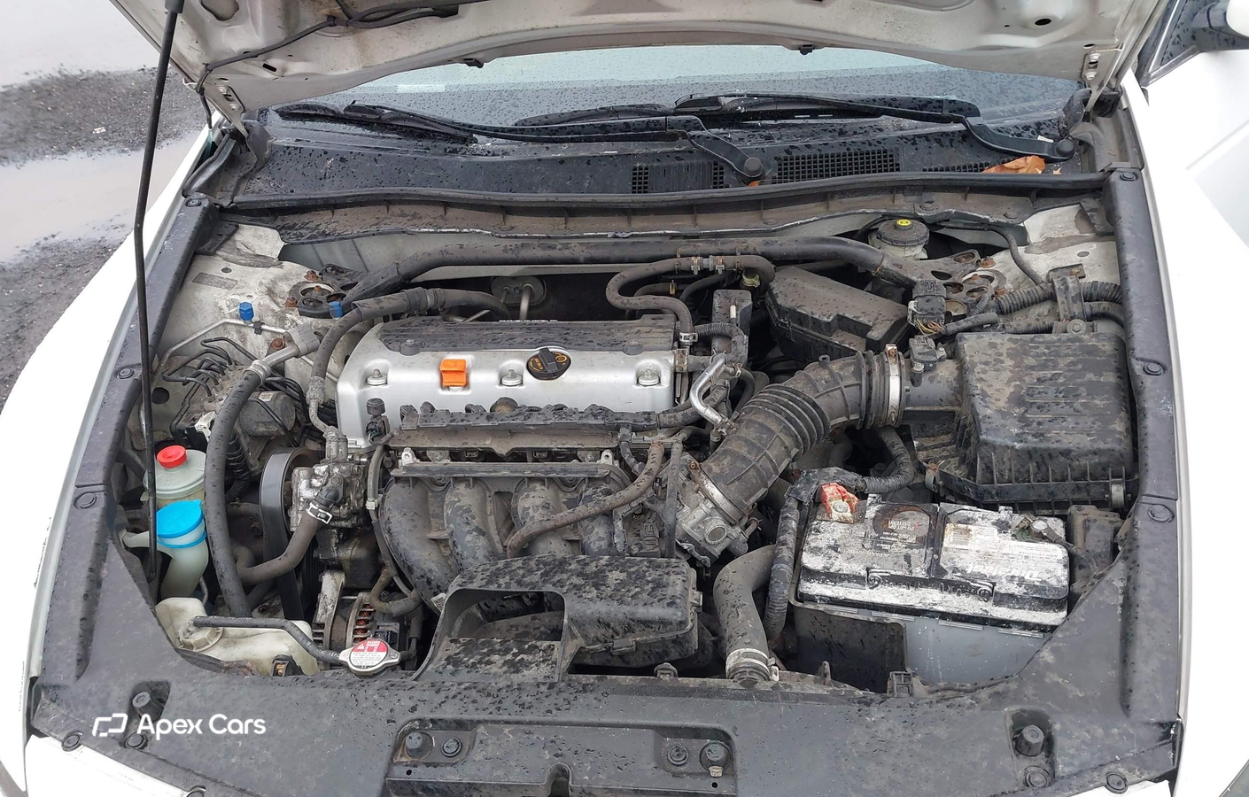 Honda Accord 2011
