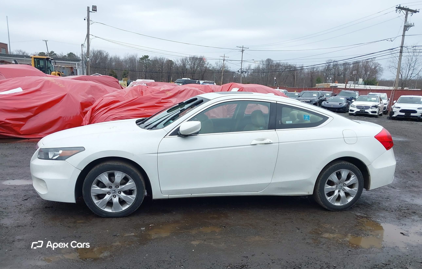 Honda Accord 2011