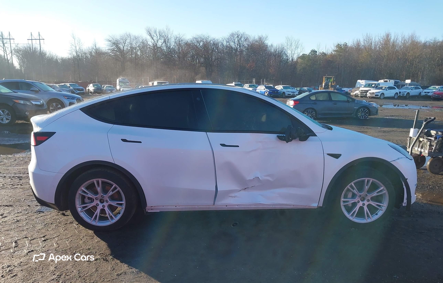 Tesla Model Y 2022