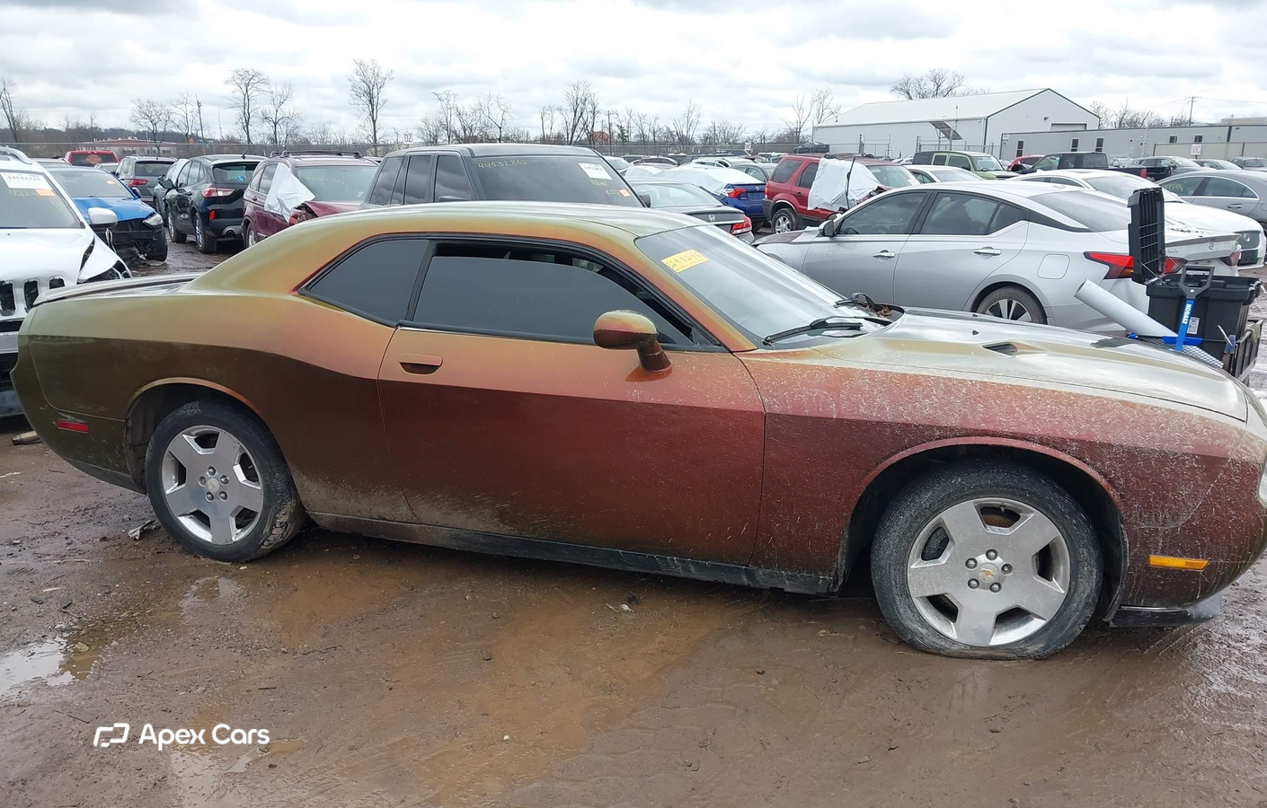 Dodge Challenger 2012