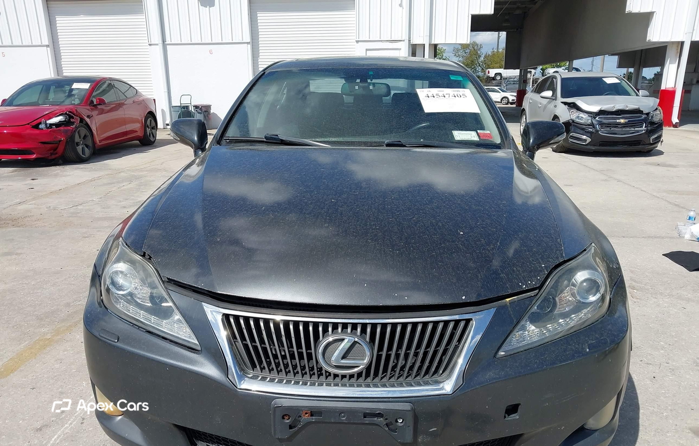 Lexus IS 2009